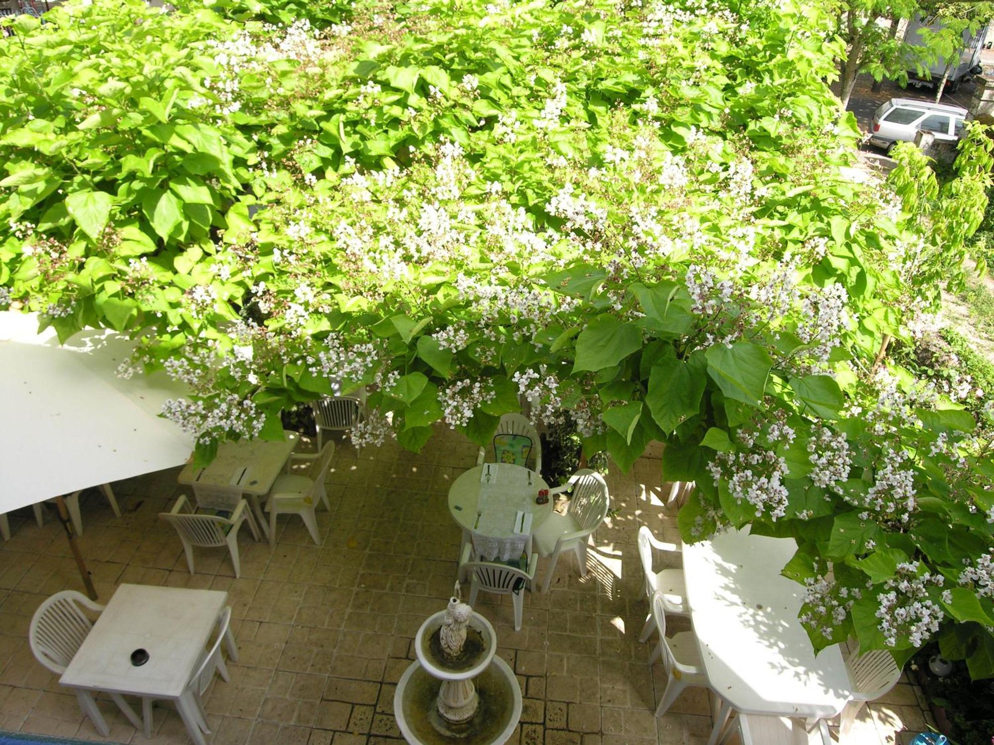 Saint-Macaire Appart'Hotel Les Tilleuls المظهر الخارجي الصورة